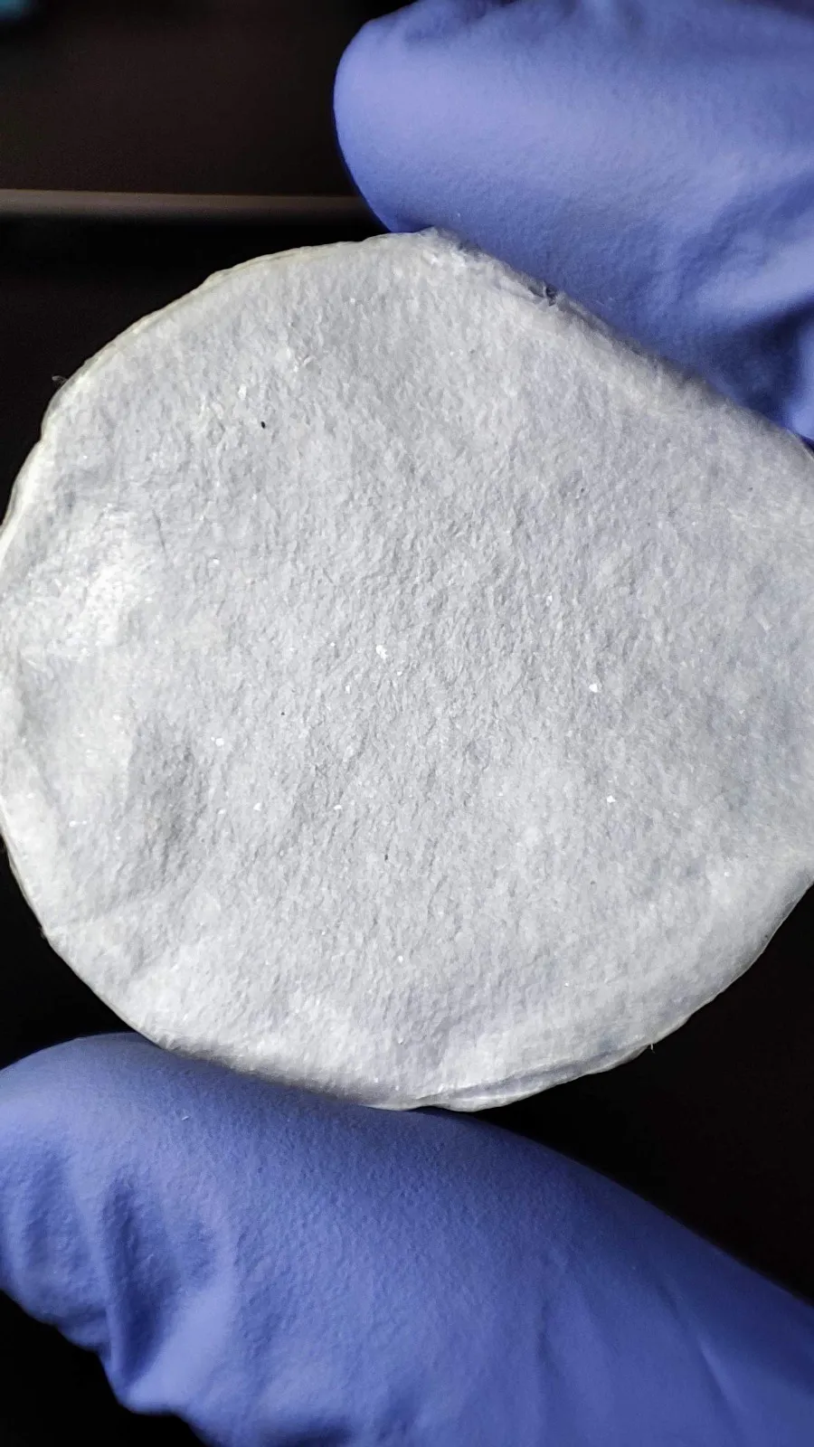Muestra circular de filtro de celulosa sujeta con guantes de laboratorio