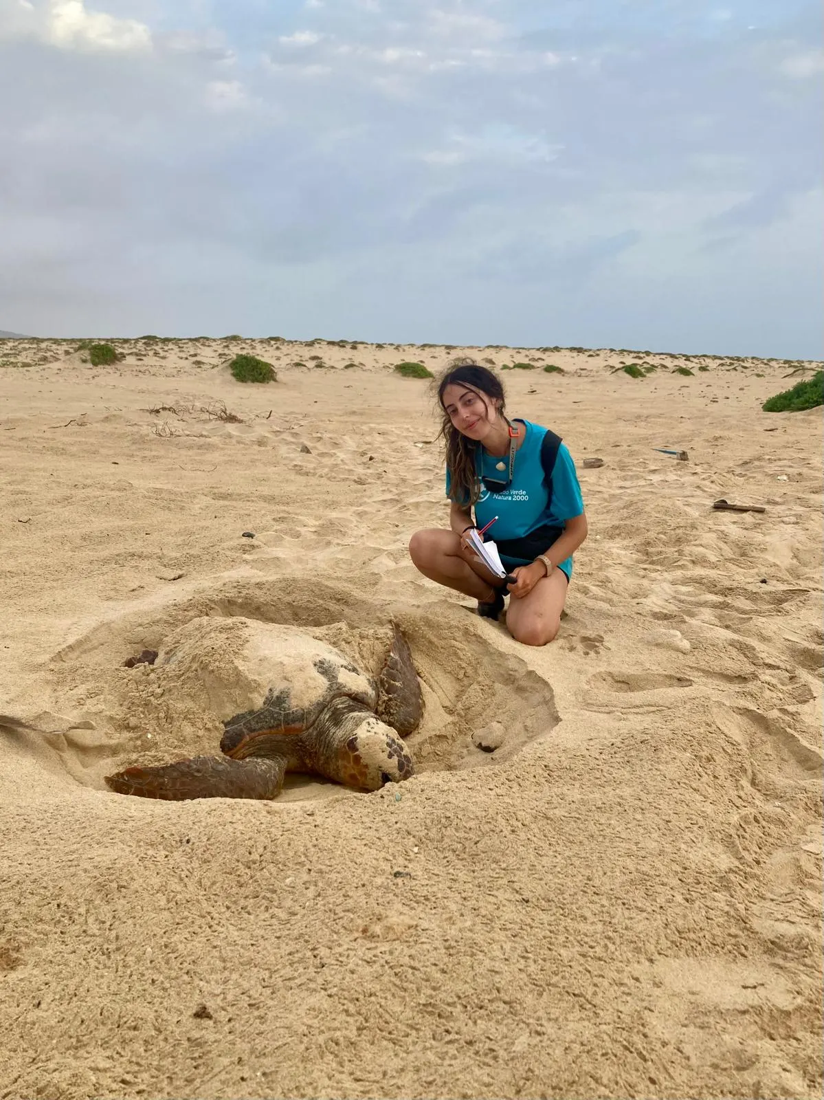 Tortuga boba desovando en la arena junto a una técnica de conservación en Cabo Verde